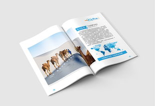 企業(yè)畫冊 公司簡介 產(chǎn)品畫冊 科技畫冊 商務(wù)畫冊